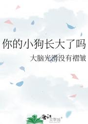 ���С����������