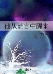 ���ӻ���������