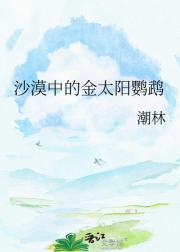 ɳĮ�еĽ�̫������