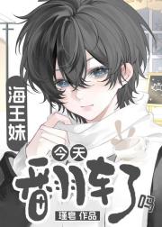 �����ý��췭������