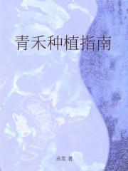 �����ֲָ��