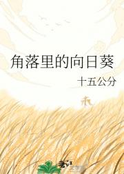 ����������տ�