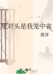 ����ͷ��������ȸ