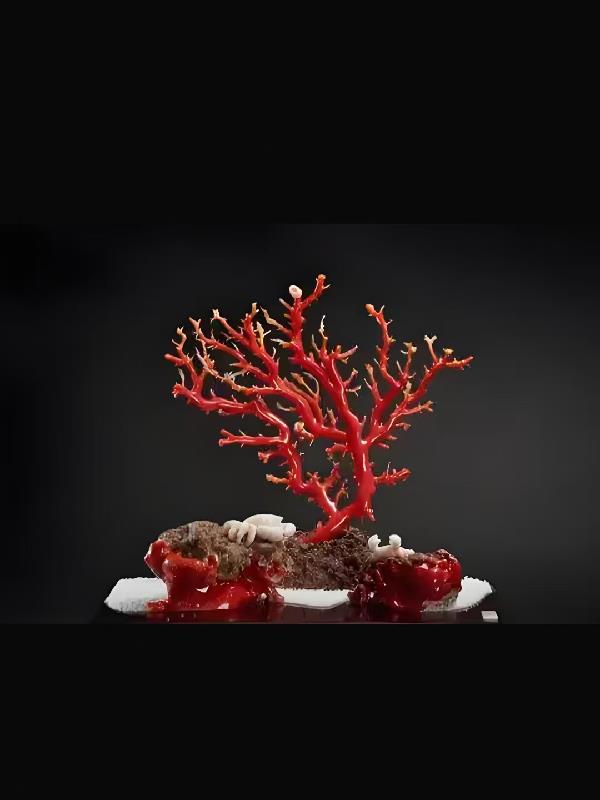 ��ɺ��֮�ɳ�