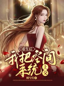 顾希秦泽渊顾兮灯